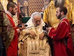 Patriarch Ilia of Georgia: I had a vision that man can defeat the coronavirus