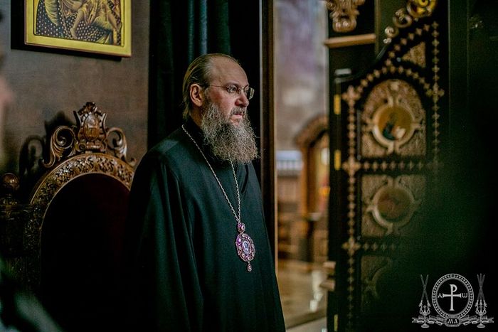 В Украинской Православной Церкви требуют привлечь к ответственности виновных в избиении верующих в селе Задубровка