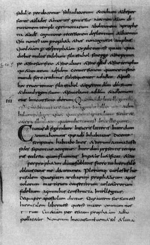 Libri Carolini. Codex Vaticanus Latinus 7207. Ватиканская апостольская библиотека