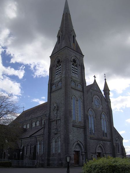 St. Brendan's RC Cathedral in Loughrea, Galway, Ireland (taken from Wikipedia)
