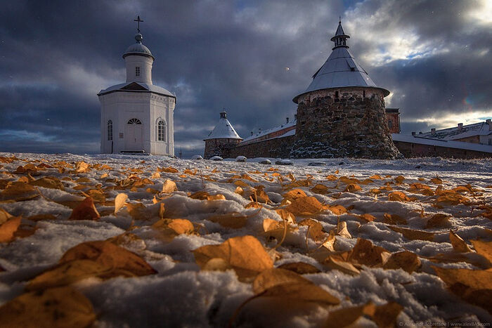 Χειμερινό φθινόπωρο © Alexandr Bobretsov