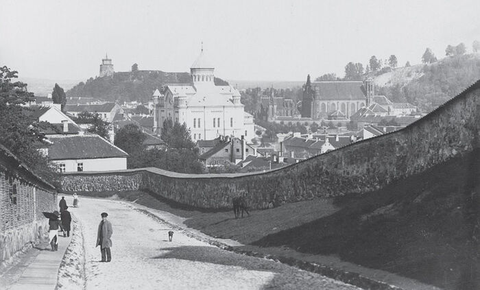 Вид на город с улицы Бокшто. 1896 г.