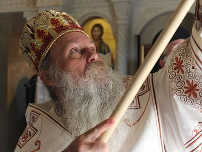 | Archimandrite Damjan (Cvetkovic): “Stop Running After Monks!” | The Paradise News