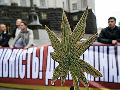 Ukrainian deputies submit bill for medical marijuana, inspired by OCU’s Epiphany Dumenko