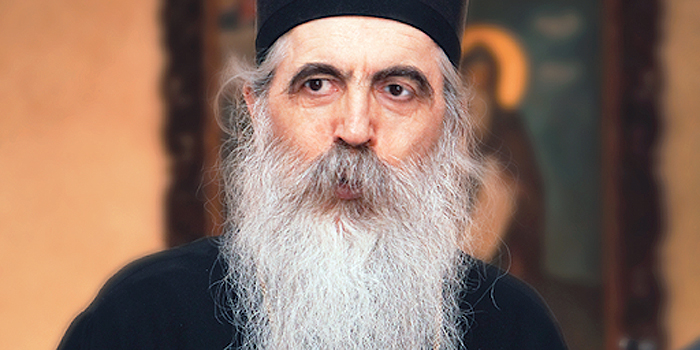 Епископ Бачский Ириней: Расколы с Украины перенесены на весь православный мир