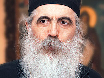 Епископ Бачский Ириней: Расколы с Украины перенесены на весь православный мир