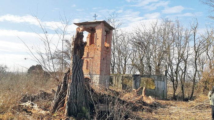 На гробљу у Благачи албански екстремисти су 1999. минирали парохијски дом, цркву и дуб стар више од 500 година (Фотографије Б. Радомировић)