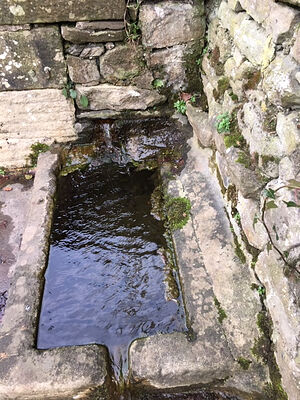 The Bank Well at Giggleswick, N. Yorkshire (kindly provided by Kathleen Kinder)