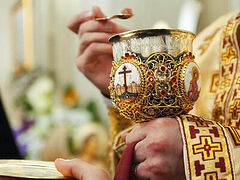 Bishops in Germany issue statement on Eucharist during COVID