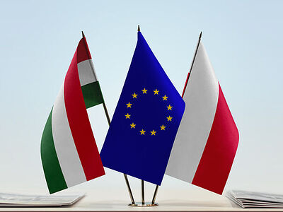 ЕС возбудил судебные иски против Венгрии и Польши по вопросу защиты ими традиционных семейных ценностей