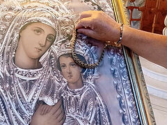 Annual miracle: Snakes of Panagia appear again in Kefalonia churches