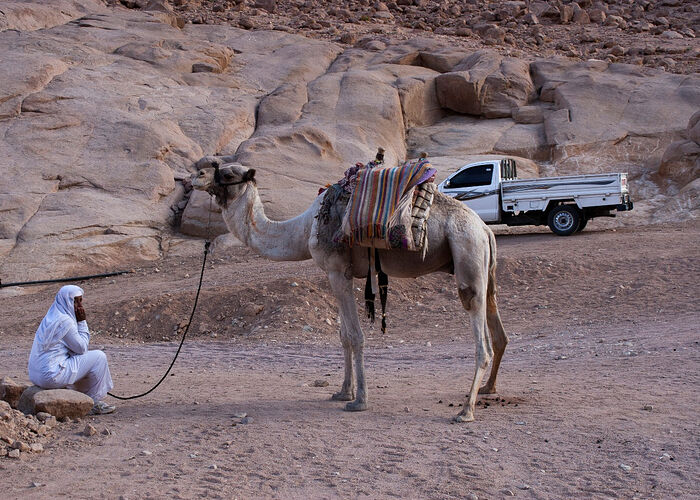 Одежда, быт, традиции бедуинов не меняются веками