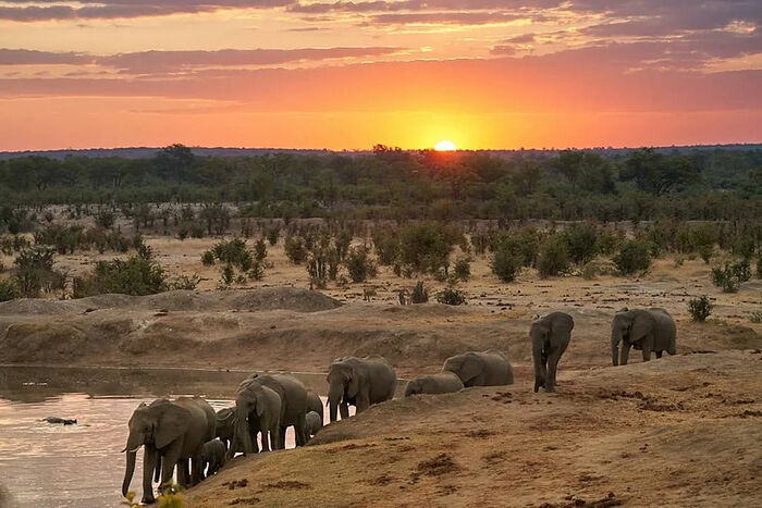 The jungles of Zimbabwe.
