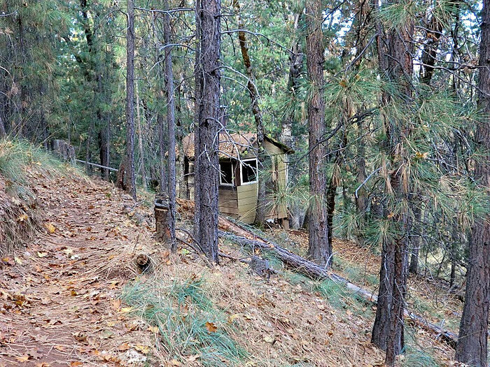A cell in the woods at St. Herman's Monastery