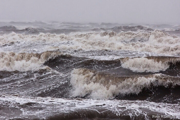 Шторм на Белом море. Фото: Валерий Ломов