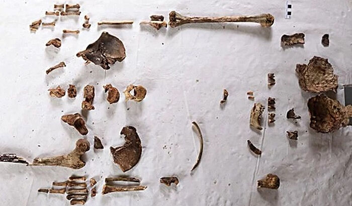 Были датированы образцы зубов и костей королевской принцессы, ставшей монахиней. Фото: Reuters