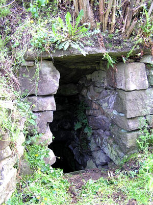 Источник св. Кадфана в Ллангадфане, Уэльс (взято с Megalithic.co.uk)