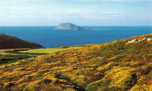 Остров Бардси, Уэльс (взято с Bardseyapple.co.uk)