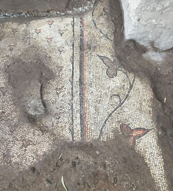 Часть мозаичного пола, обнаруженная в предполагаемой Церкви Апостолов на Геннисаретском озере. Фото: Achia Kohn-Tavor.
