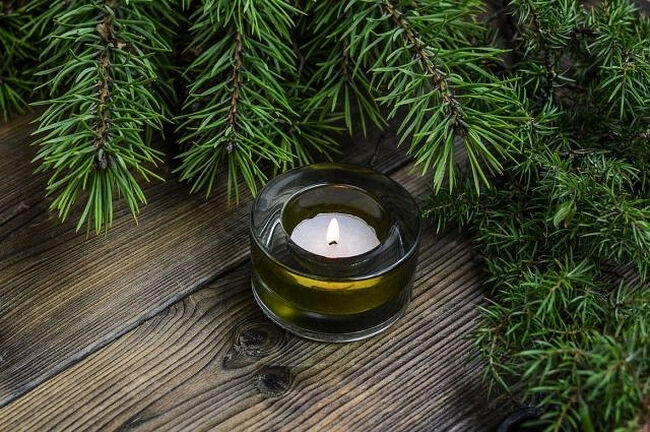 Spruce is an evergreen plant and therefore is a symbol of the Nativity. Pixabay.com