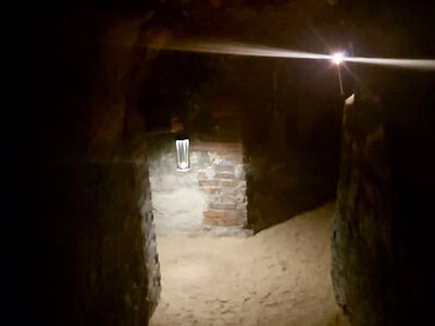 Специалисты АНО «Возрождение» предложат варианты подсветки керамид в Богом зданных пещерах