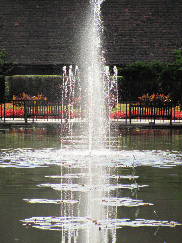 A photo from Wisley Gardens in Surrey, England. The fountain has formed a cross.