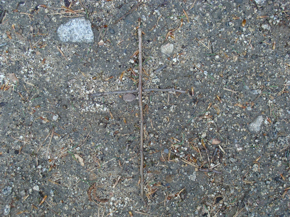 During a walk on Vitosha, the mountain south of Sofia, I came across two twigs perfectly positioned to resemble a cross.
