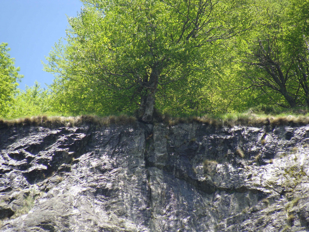 This photo was taken at Kadamliya Waterfall in central Bulgaria. The tree and the rock form a cross with the grass. How the tree remains rooted to the spot, I do not know!