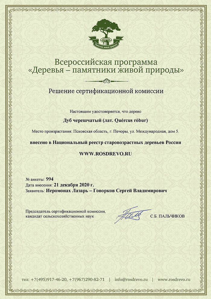Решение о внесении дуба в Национальный реестр старовозрастных деревьев России 21 декабря 2020 года