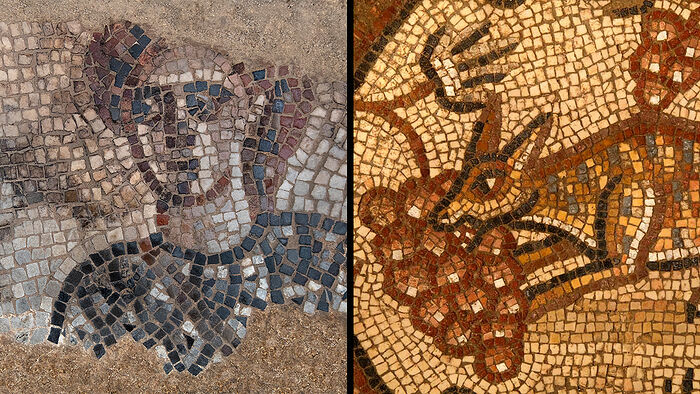 Left: The Israelite commander Barak depicted in the Huqoq synagogue mosaic. Right: Fox eating grapes depicted in Huqoq synagogue mosaic. Photos by Jim Haberman