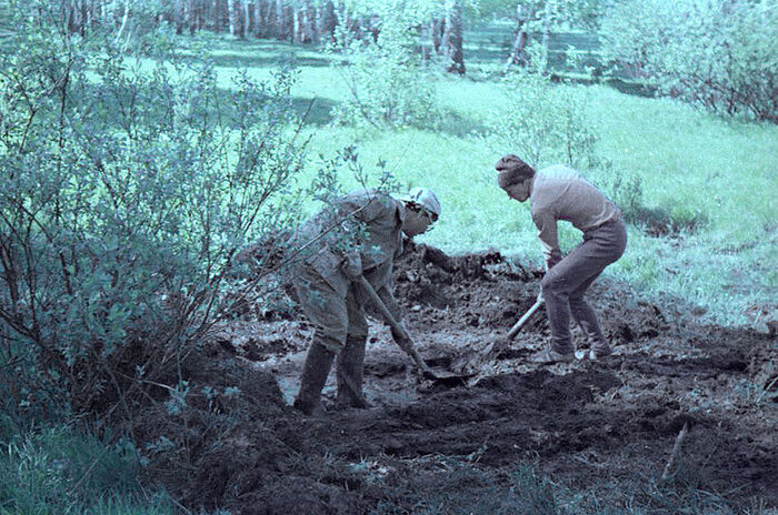 Гелий Рябов (слева) и Геннадий Васильев снимают верхний слой с мостика из шпал 1 июня 1979 года