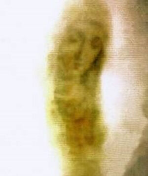 Нерукотворный образ Богородицы на обратной стороне бумажной печатной Локотской иконы. В нижней части просматривается перевернутый по отношению к Божией Матери лик человека, подобный лику Спасителя на Туринской плащанице.