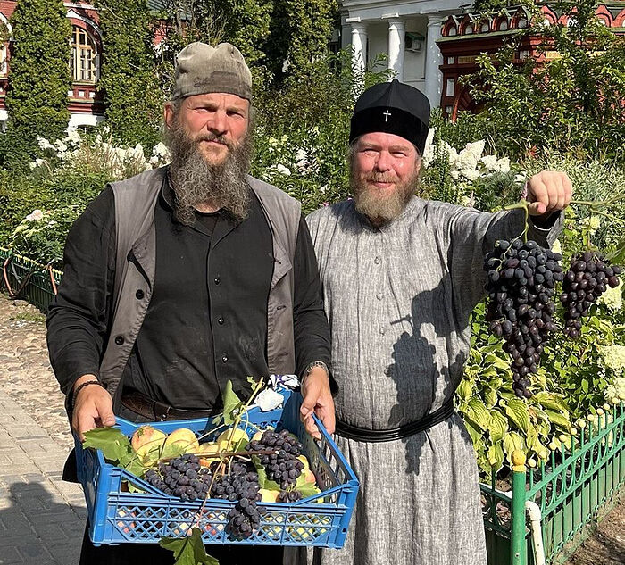В Псково-Печерском монастыре собрали первый виноград урожая 2022 г