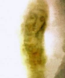 The image of the Mother of God, not made by hands, on the reverse side of the Lokot Icon, printed on paper. In the lower part you can see a human face turned upside down in relation to the Mother of God, similar to that of the Savior on the Shroud of Turin.