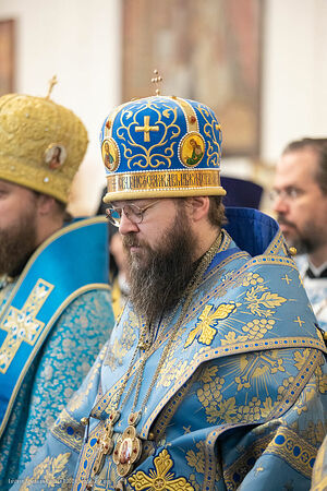His Grace Bishop Irenei of London and Western Europe on the day of Met. Nicholas' enthronement. Photo: synod.com