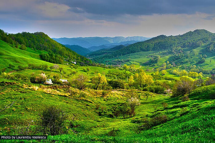 In the vicinity of the village of Bisoca on the border of Buzău and Vrancea Counties. Photo: Laurentiu Lari