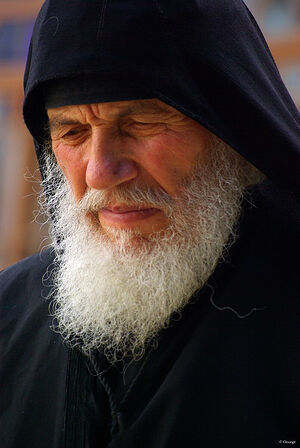 Старец Нектарий (Лазар; 1934–2015). Фото: Джордже Крышнян