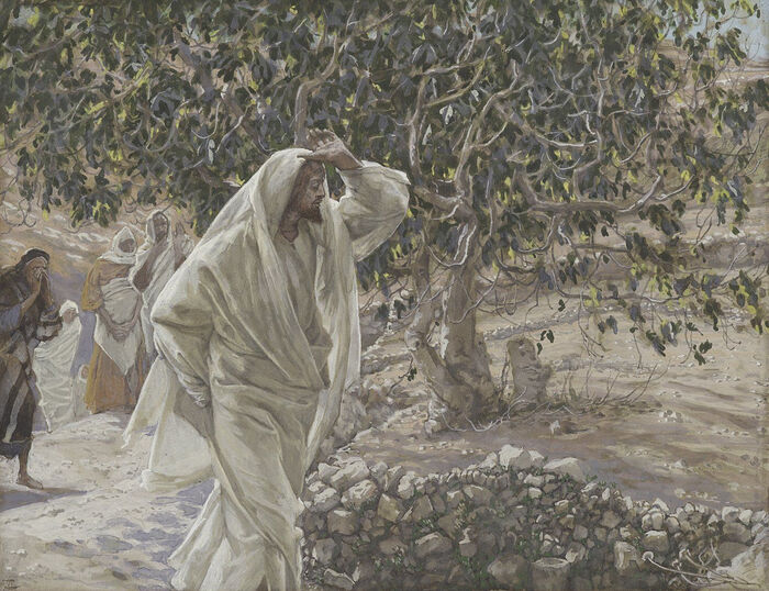 The cursing of the fig tree. Artist: James Tissot