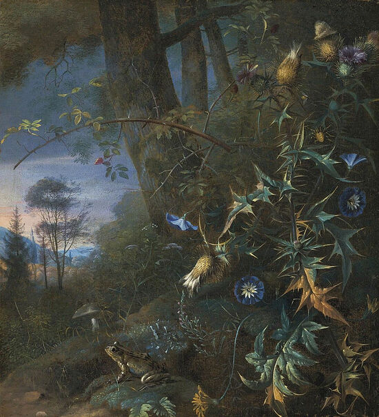 Цветы, еж и лягушка. Художник: Маттиас Витхос, 1660 г.