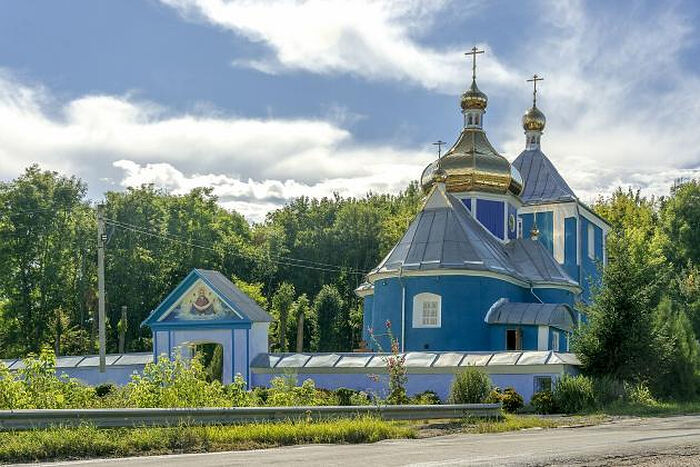 Сторонники «ПЦУ» силой захватили храм Украинской Православной Церкви в Адамовке