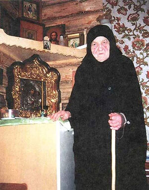 Схимонахиня Сепфора (Шнякина)