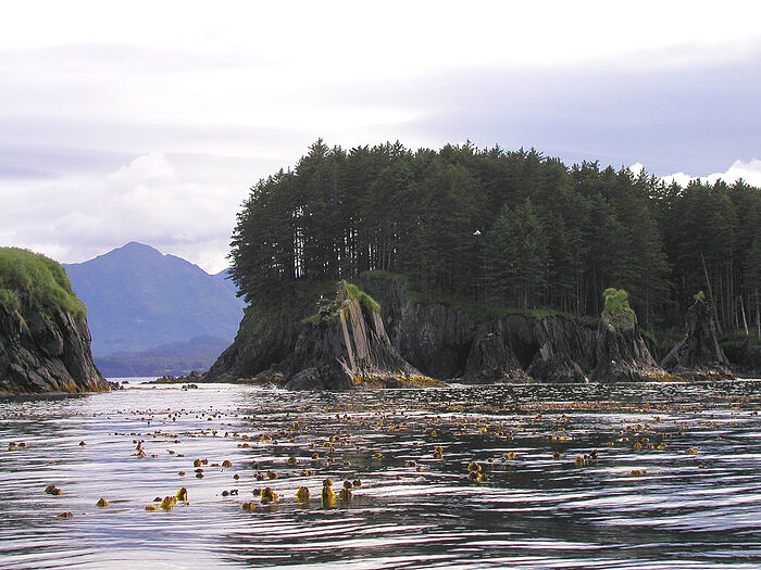 Spruce Island, Alaska. Photo: Wikipedia