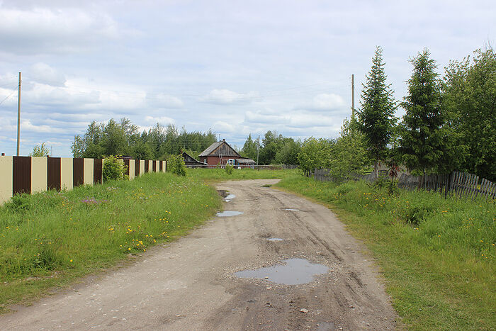 Here on the turn of the road, Nina Arteyeva saw unmarked grave mounds.